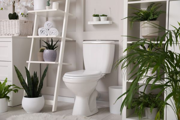 Cost of Toilet Repair in Orange