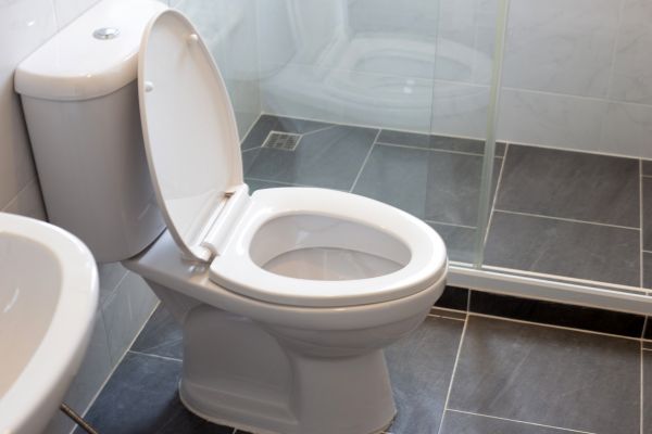 Toilet Replacement in Orange