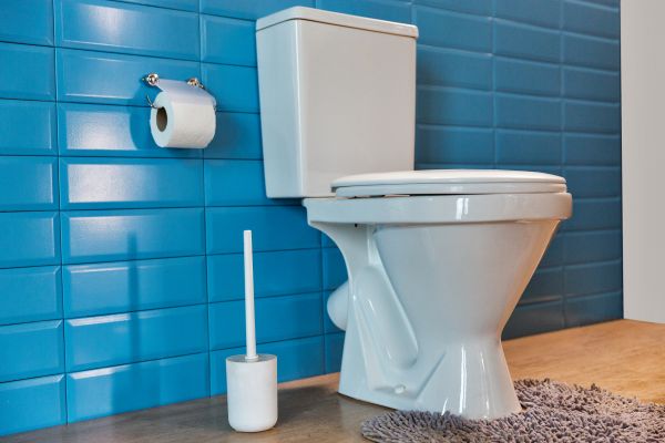 Cost of Toilet Tank Repair in Orange