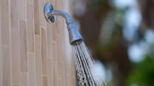 Cost of Showerhead Repair in Orange